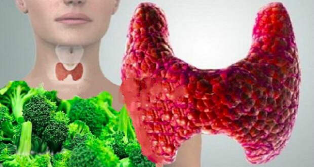 thyroid