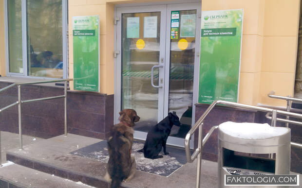 ХМАО впервые за много лет вернулся на долговой рынок коммерческих банков