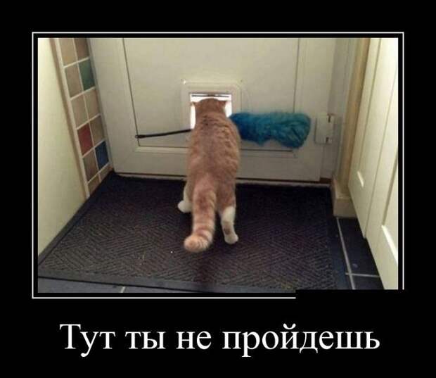Сборник демотивационных приколов Сборник демотивационных приколов