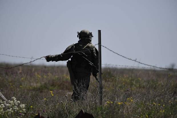 Российские саперы применили роботизированные «газонокосилки»