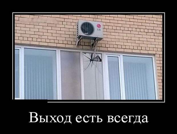 Демотиваторы (30 фото)