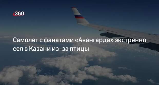 В самолет с фанатами «Авангарда» врезалась птица, лайнер экстренно сел в Казани