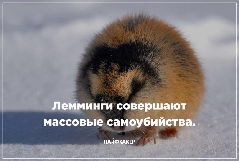 Невероятные научные факты