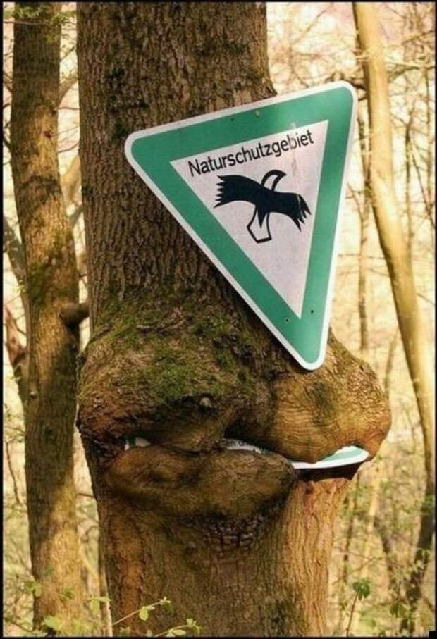Сила природы (25 фото)