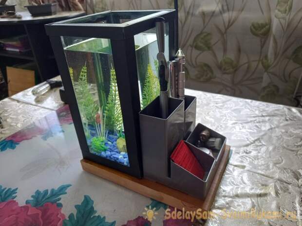 Как сделать настольный аквариум-органайзер с подсветкой