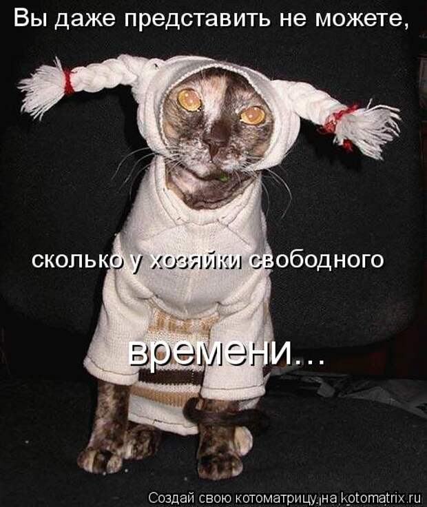 Прикольные картинки про животных
