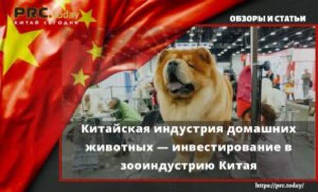 Китайская индустрия домашних животных — инвестирование в зооиндустрию Китая