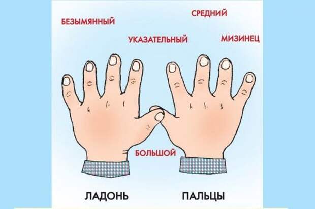 Рисунок на пальцах как называется