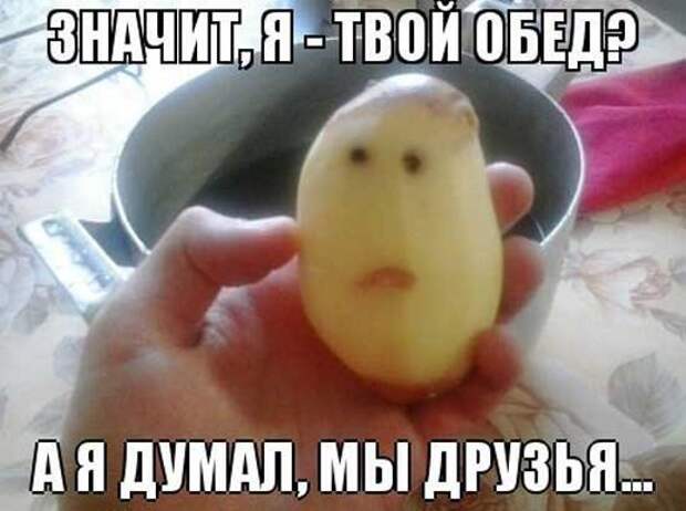 Фото приколы с едой: креативно и забавно