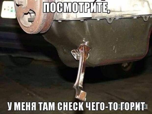 Автоприколы для хорошего настроения (24 фото)