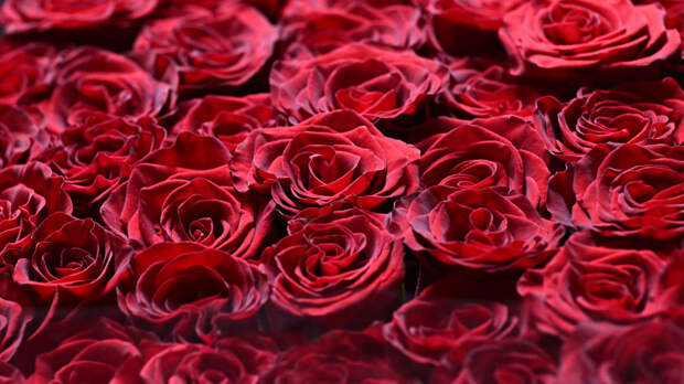 «Цветы не дают»: флорист довел до слез мальчика, который хотел порадовать маму