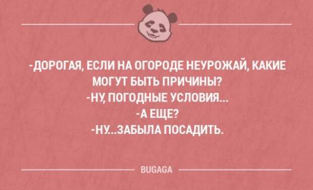 Смешные фразы и забавные мысли про девушек. Часть 37 (20 шт)