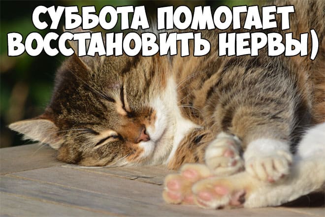 Коллекция весёлых картинок про субботу