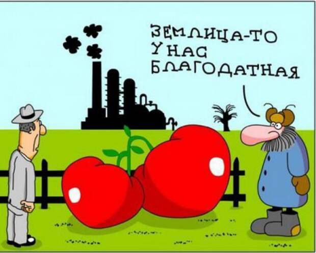 Карикатуры :)