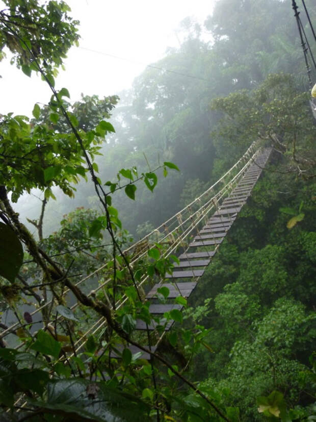 Подвесные мосты не для слабонервных Insane Hanging Bridges 22 Подвесные мосты не для слабонервных