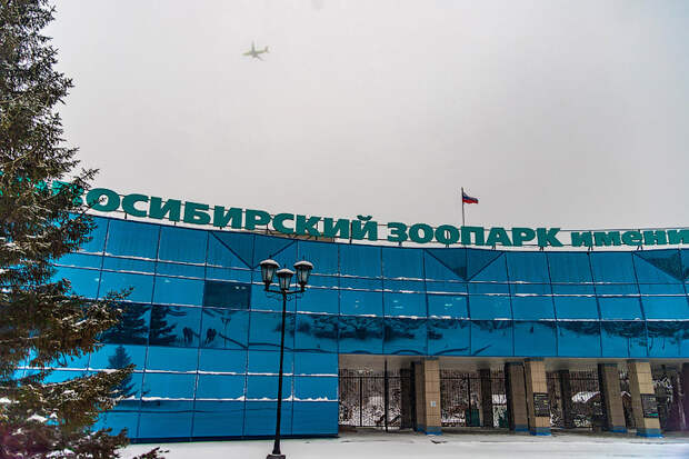 График работы зоопарка в Новосибирске обновлён с 30 марта