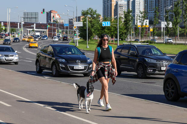 Москвичам предсказали аномально жаркое лето