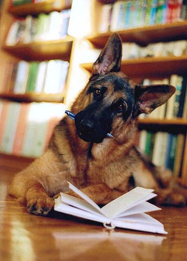 Давайте улыбаться вместе :) (27 улыбок)