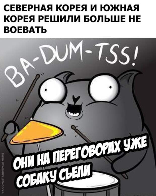 Стендап-кот и его коллекция саркастических комиксов Стендап-кот и его коллекция саркастических комиксов