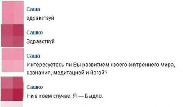 Прикольные картинки