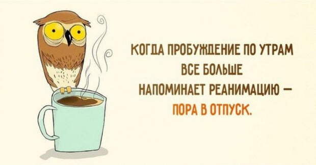Тридцать отличных жизненных шуток, в которых многие узнают себя