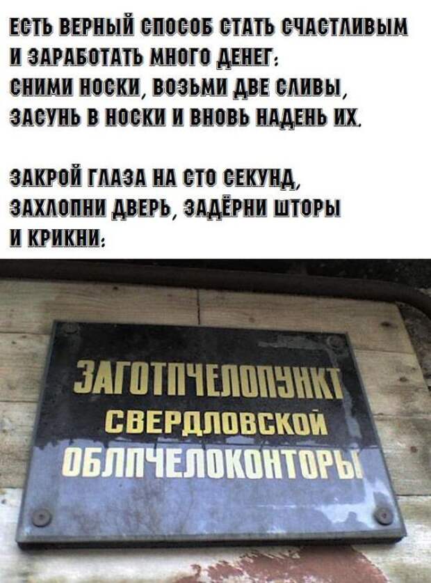 Подборка картинок. Вечерний выпуск (29 фото)