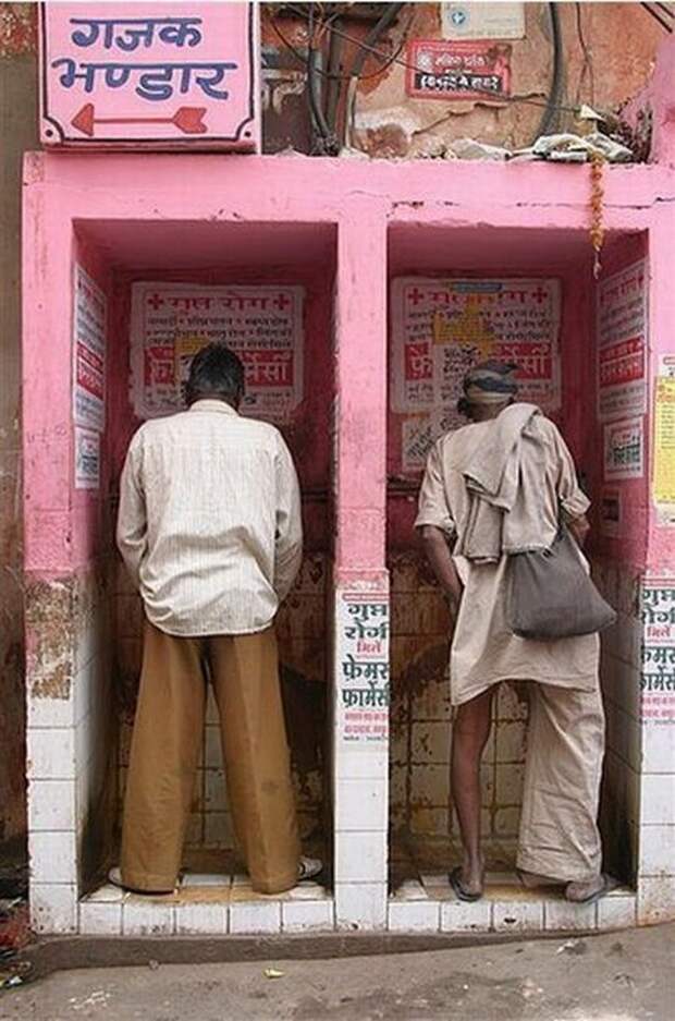 Приличным людям в Индии скрывать нечего funny foto, индия, интересно, смешно, юмор