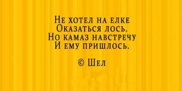 Стихи- депресняшки, которые вопреки всей логике поднимают настроение