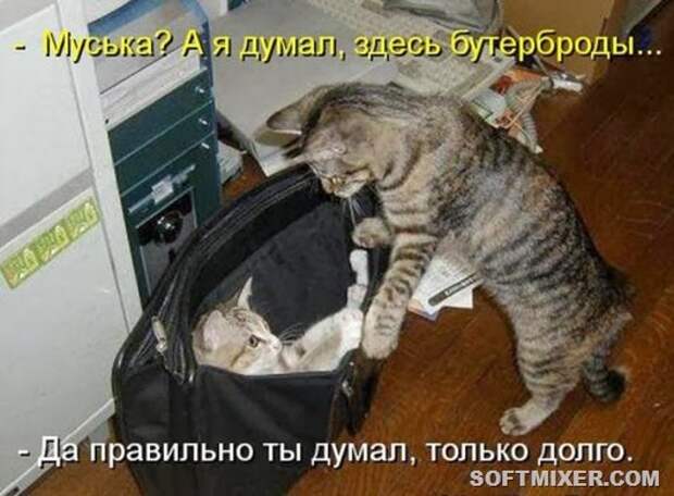 8b970ae3f9e553779daaac117b6_prev