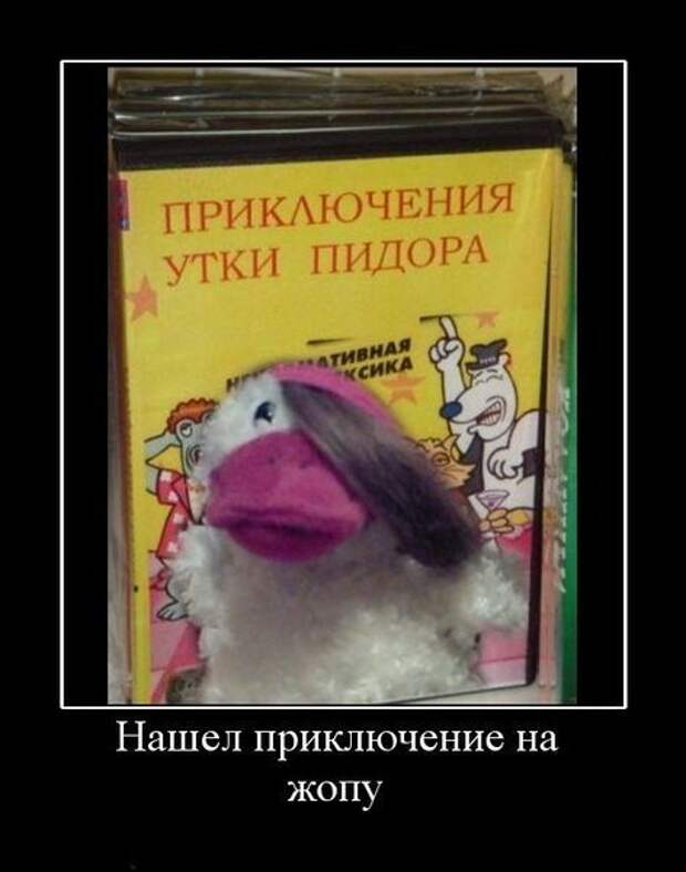 Приколы про уток