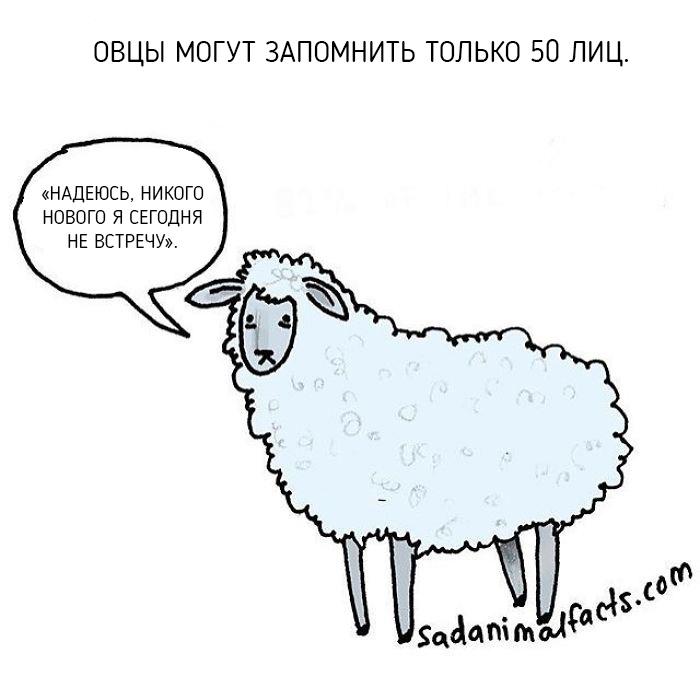 Неожиданная правда о животных от Брук Баркер