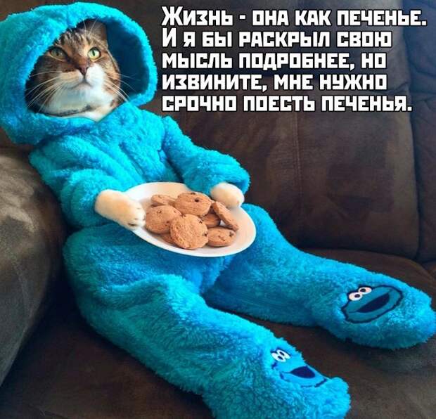 www.vsyako.net