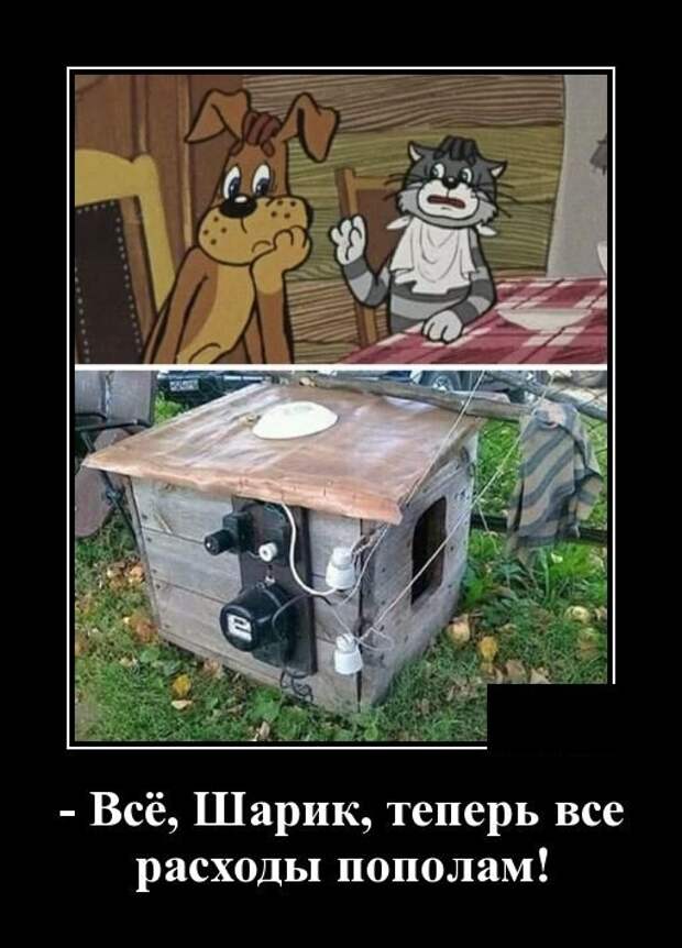 Демотиваторы