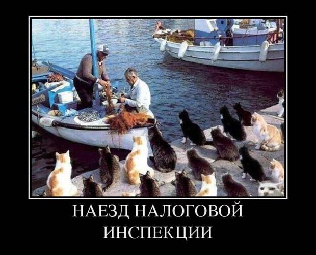 Странные демотиваторы Странные демотиваторы