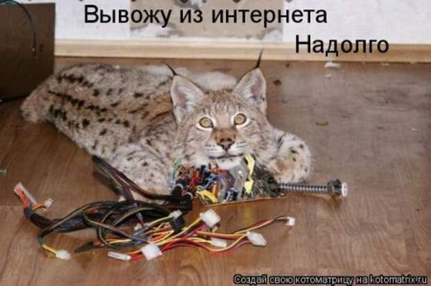 Смешная котоматрица