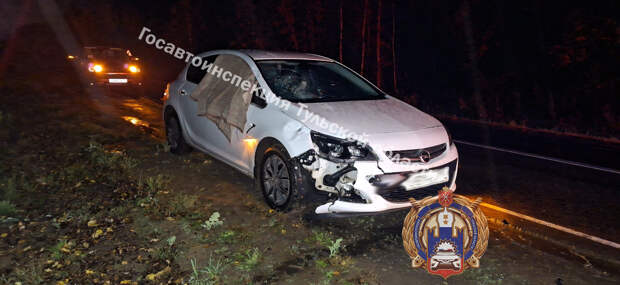 Пешеход попал под колеса Opel и погиб на трассе в Щекинском районе