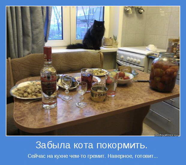 смешные картинки с едой и котами (11)