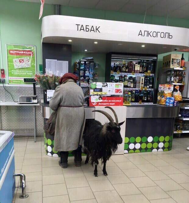 Сегодня в Пятерочке