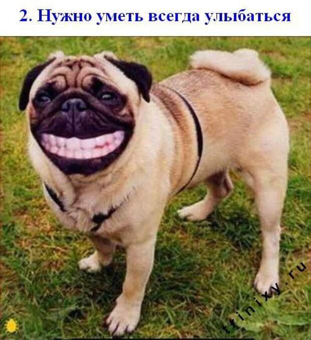 Картинка 19 из 69737