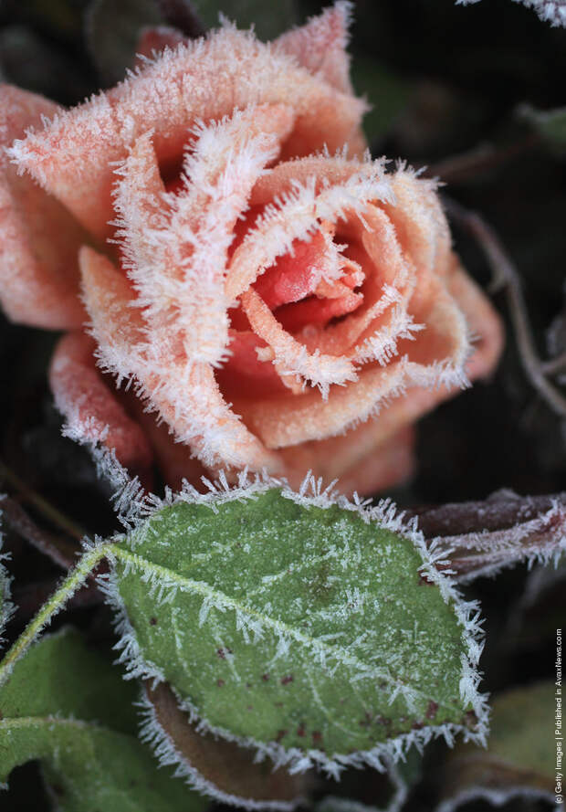 Early Morning Frost In Knutsford As Temperatures Fall Around The UK