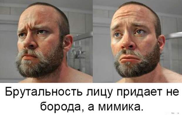 Фотоподборка четверга (104 фото)