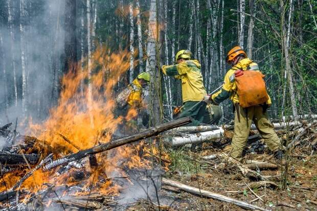 Усилия лесных пожарных крайне важны, но это последняя линия обороны от пожаров, которая должна вступать в бой, лишь если профилактические меры по заблаговременному созданию противопожарных барьеров не были предприняты вовремя / ©ФБУ “АВИАЛЕСООХРАНА”