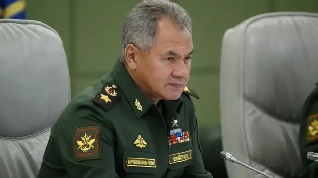 Шойгу обсудил с министром обороны Турции ситуацию в Сирии