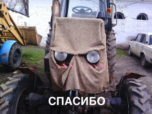 Утреннее «Ты ж моя красавица!» Утреннее «Ты ж моя красавица!»