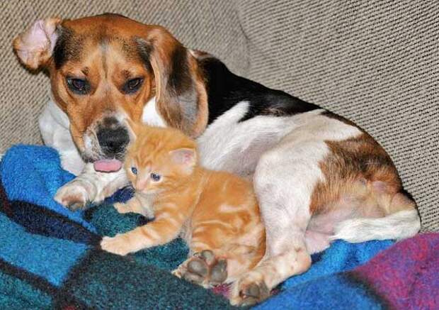 Cuddle time!