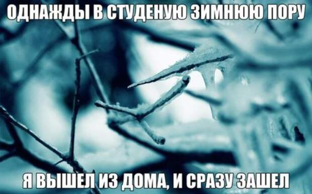 Хорошее настроение в прикольных фото и картинках (49 шт)