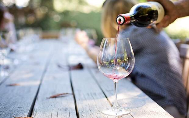 Учёные установили, что красное и белое вино снижают риск заражения COVID-19