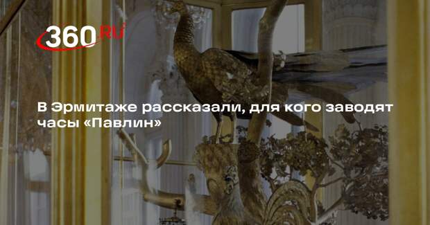 Сотрудник Эрмитажа: часы «Павлин» заводят внеурочно для экскурсионных групп