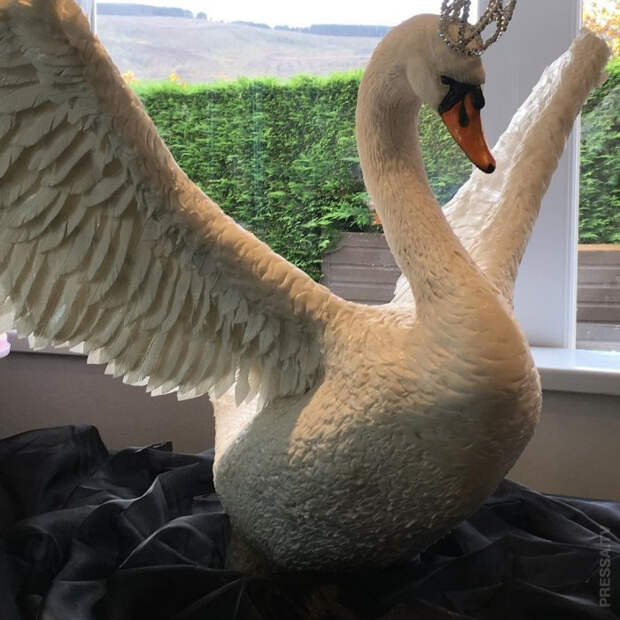 1615540244_pressa_tv_ac1df3f3-5aaf-45c1-8fea-b20fe3165f90 (700x700, 280Kb)