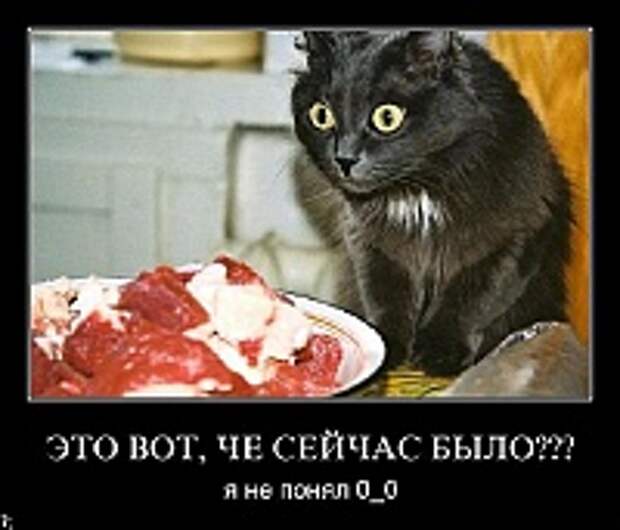 Демотиваторы фото 104